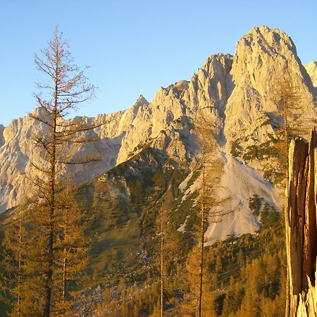 Hotel Gasthof Hunerkogel à Ramsau am Dachstein Extérieur photo