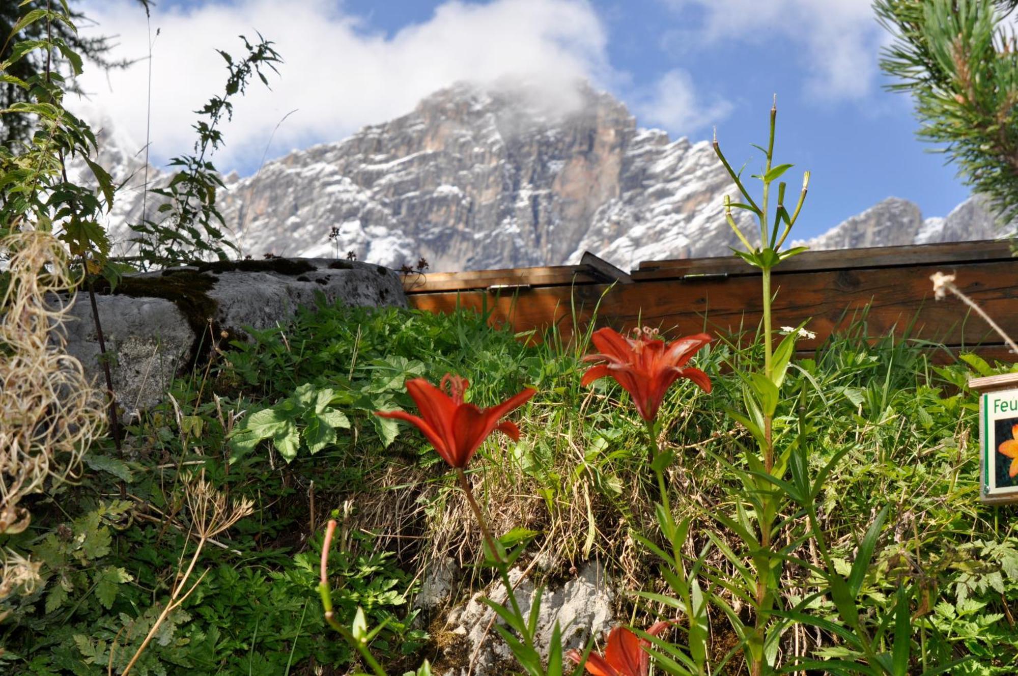 Hotel Gasthof Hunerkogel à Ramsau am Dachstein Extérieur photo